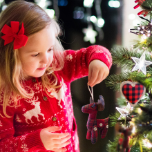 Image Christmas Decorations & Accessories